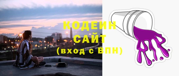 амф Бородино