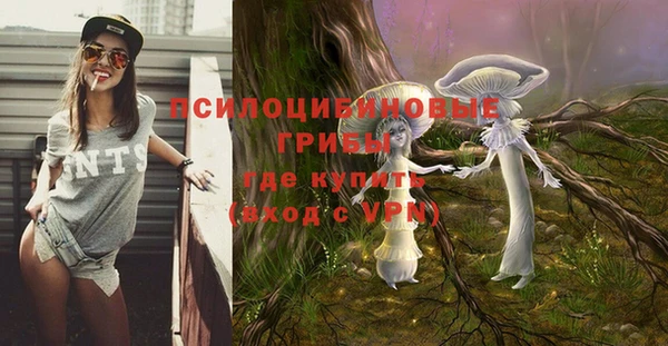 бошки Богородск